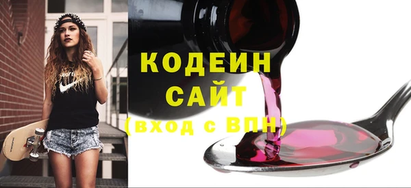 мдпв Краснослободск